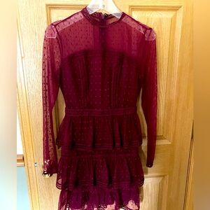 Pretty wine 🍷 color mesh dress with darker polka dots